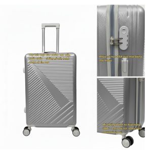 Vali Du Lịch Nhựa Dẻo ABS/PC, khóa số T01 - Màu bạc